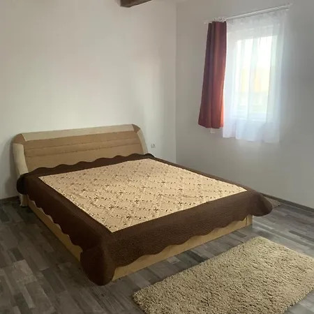 Apartment De Inchiriat In Localitatea Danesti *
